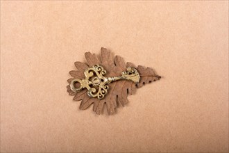 Retro styled key placed on dry leaves