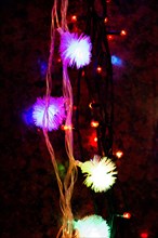 Christmas lights and party lights of a certain type