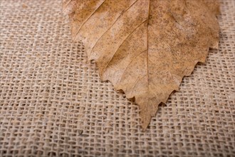 Dry leaf on brown linen canvas background