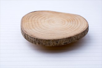 Small piece of cut wood logs used for wood texture background