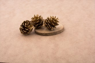 Pine cones on a piece of cut wood on a light brown background