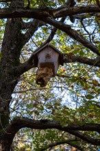 Wooden homemade birdhouse hanging on a tree branch