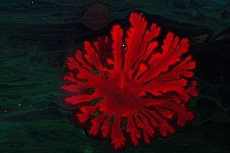 Ebru marbling handmade art