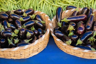 Fresh vegetables aubergines