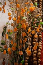 Dried apricots hanging on tree branch close up in a market