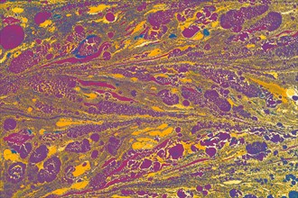 Abstract creative marbling pattern templat for fabric