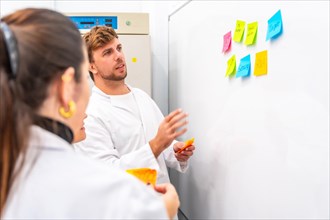 Side view of biologists using adhesives notes during a brainstorming in a laboratory