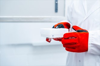 Close-up of a scientist with red gloves holding a box with frozen cells in an infectious disease prevention laboratory