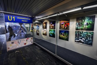 Underground ART Project U1 in a subway in Kempten
