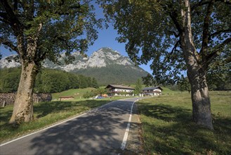 Landscape near the Hintersee