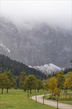 Early morning fog in the Karwendel nature park Park
