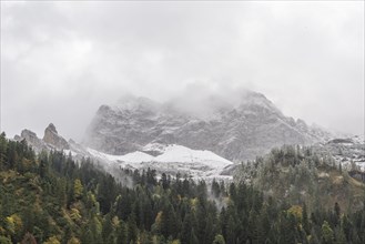 Frosty morning with early morning fog in the Karwendel nature park Park