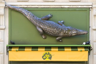 Crocodile figure above Cafe Oz