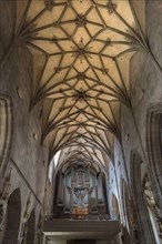 Gothic vault of the Church of the Holy Cross with organ loft