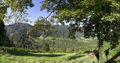 Dreitaelerblick near Simonstal