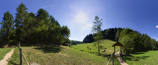 270 degree panorama of a landscape in the Black Forest near Schuttertal