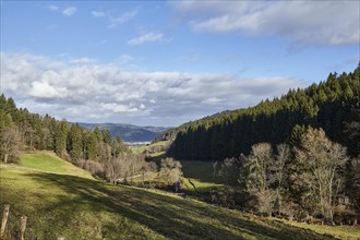Landscape in the Black Forest near Waldkirch