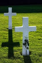 White cross on WW2 soldier's grave at the Henri-Chapelle American Cemetery and Memorial