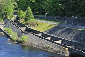 The Pitlochry fish ladder