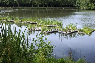 Floating artificial islands with vegetation in pond for fish to spawn and breeding place for waterfowl