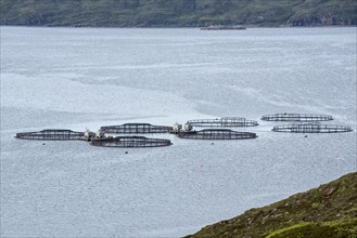 Floating circular pens supporting large net bags in loch at salmon fish farm in the Scottish Highlands