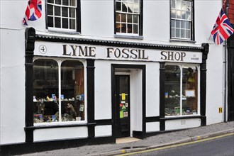 Lyme Fossil Shop selling fossils at Lyme Regis