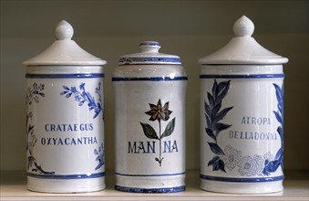 Old pharmacy Delftware pots with herbs as medicines in Latin on display