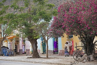 Local black women in shopping street with colourful clothes shops and blooming trees in the town Axum