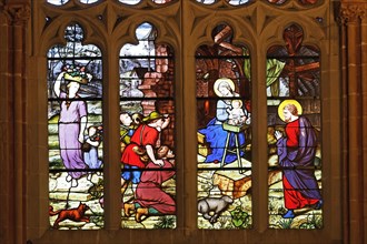 Colourful stained glass window depicting the birth of Jesus
