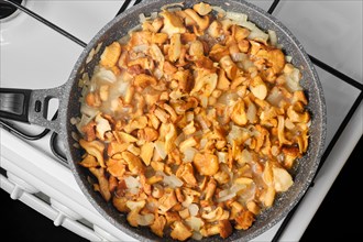 Closeup view of frying chanterelle mushrooms with onion in a pan