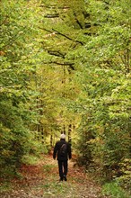 Hike through autumnal forest with photo backpack