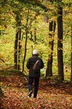 Hike through autumnal forest with photo backpack