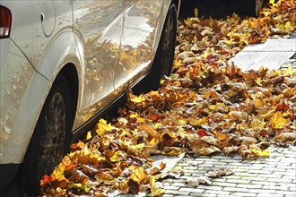 Autumn leaves reflected in a car