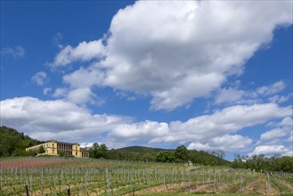 Villa Ludwigshoehe Castle