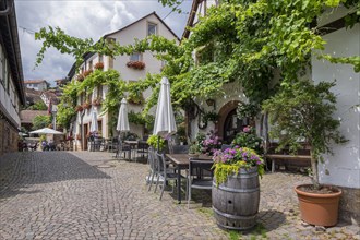 Village street in the wine village Gleiszellen