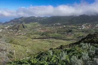 Valley of El Palmar