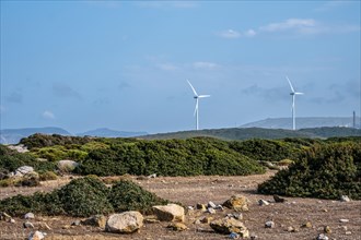 Wind power