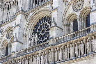 Detail of Notre Dame de Paris Cathedral with rose window or rose window and sculptures below