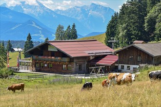Spielbergalm excursion destination and inn with cows in summer