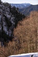 Winter landscape with snow in the Pyrenees mountains of Andorra