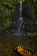 Mountain stream and waterfall in the autumn forest