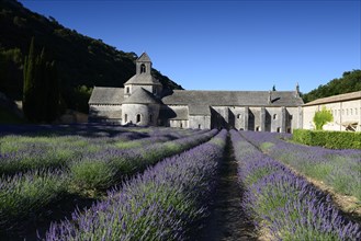 Cistercian Abbey Abbaye Notre-Dame de Senanque