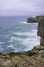 Sea cliffs along the north shore of Cape St. Vincent