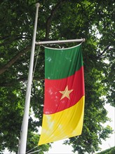 Cameroonian Flag of Cameroon