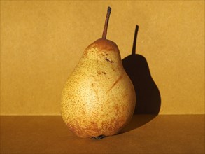Pear fruit still life