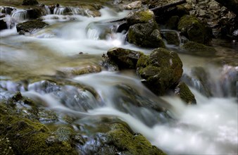 Mountain stream and mossy stones