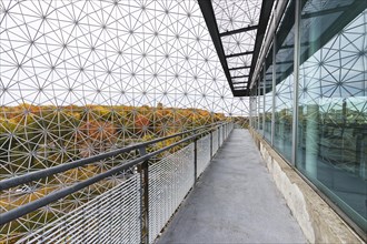 The Biosphere