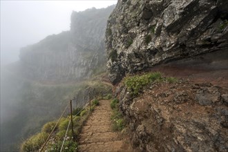 Hiking trail PR1 Vereda do Areeiro in the fog