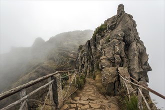 Hiking trail PR1 Vereda do Areeiro in the fog