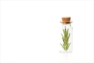 Close-up of a glass jar with branches of fresh rosemary isolated on a white background